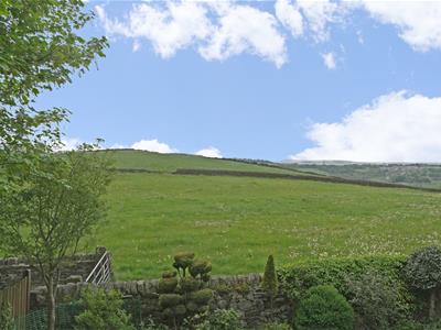 Picture 27